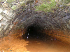 
Henllys Colliery drainage level, Cwmcarn, May 2010